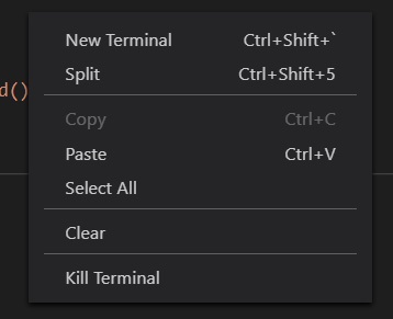 ClearTerminal2